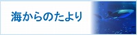 海からのたより