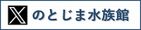 のとじま水族館Twitter