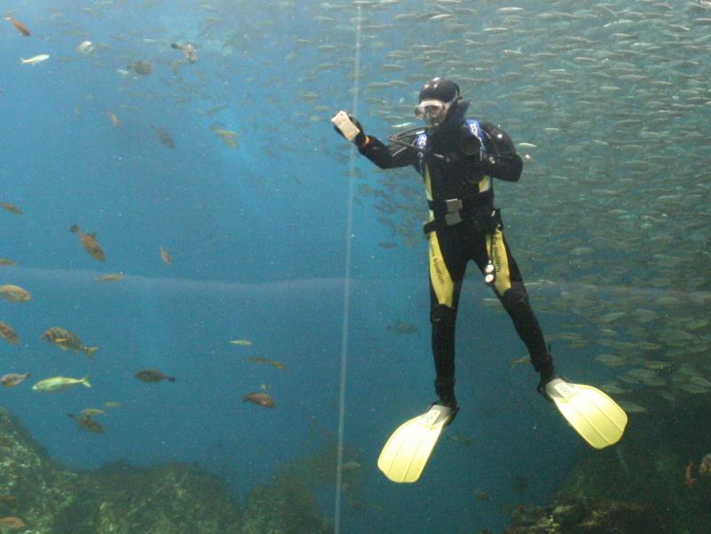 新型潜水服導入 のとじま水族館